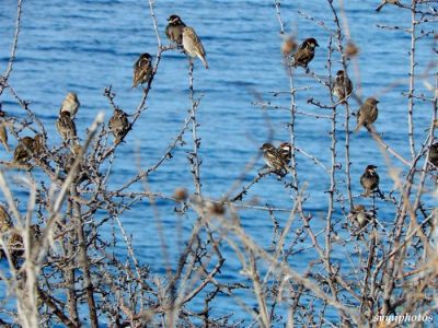 Κάντε κλικ για να δείτε την εικόνα σε πλήρες μέγεθος