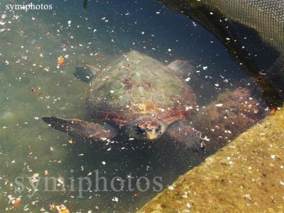 Κάντε κλικ για να δείτε την εικόνα σε πλήρες μέγεθος