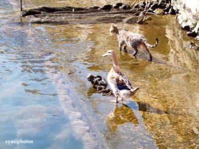 Κάντε κλικ για να δείτε την εικόνα σε πλήρες μέγεθος