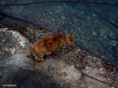 Κάντε κλικ για να δείτε την εικόνα σε πλήρες μέγεθος