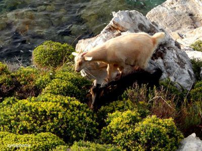 Κάντε κλικ για να δείτε την εικόνα σε πλήρες μέγεθος