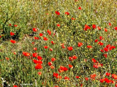 Κάντε κλικ για να δείτε την εικόνα σε πλήρες μέγεθος