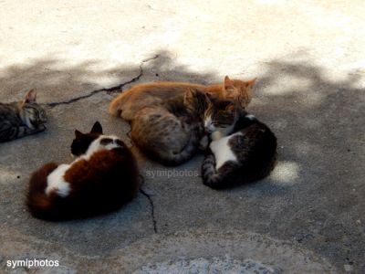 Κάντε κλικ για να δείτε την εικόνα σε πλήρες μέγεθος