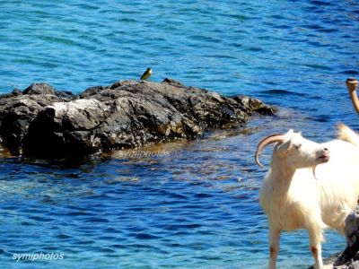 Κάντε κλικ για να δείτε την εικόνα σε πλήρες μέγεθος