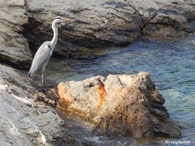 Κάντε κλικ για να δείτε την εικόνα σε πλήρες μέγεθος