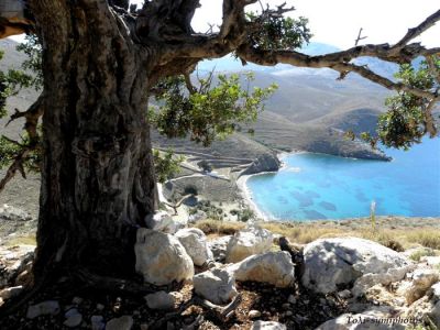 Κάντε κλικ για να δείτε την εικόνα σε πλήρες μέγεθος