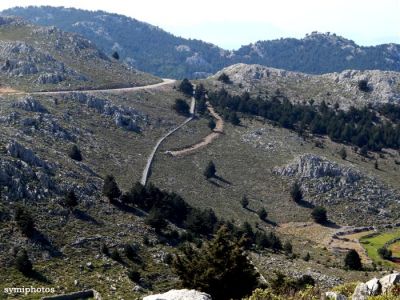 Tam boy resmi görebilmek için tıklayın