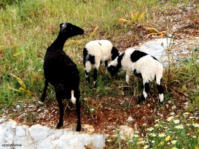 Κάντε κλικ για να δείτε την εικόνα σε πλήρες μέγεθος