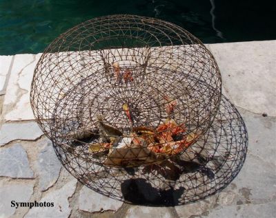 Κάντε κλικ για να δείτε την εικόνα σε πλήρες μέγεθος