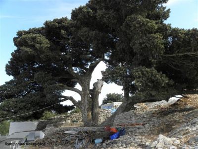 Κάντε κλικ για να δείτε την εικόνα σε πλήρες μέγεθος