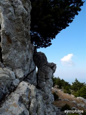 Κάντε κλικ για να δείτε την εικόνα σε πλήρες μέγεθος