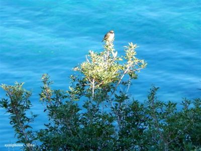 Κάντε κλικ για να δείτε την εικόνα σε πλήρες μέγεθος