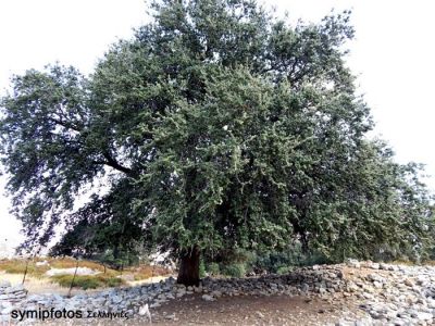 Κάντε κλικ για να δείτε την εικόνα σε πλήρες μέγεθος