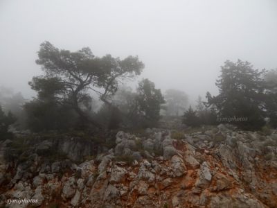 Κάντε κλικ για να δείτε την εικόνα σε πλήρες μέγεθος