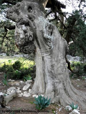 Κάντε κλικ για να δείτε την εικόνα σε πλήρες μέγεθος