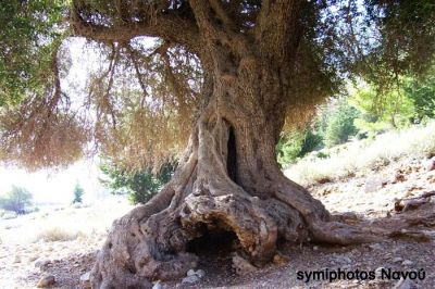 Κάντε κλικ για να δείτε την εικόνα σε πλήρες μέγεθος