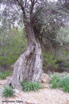 Κάντε κλικ για να δείτε την εικόνα σε πλήρες μέγεθος