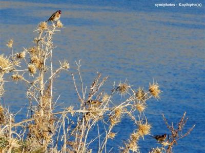 Κάντε κλικ για να δείτε την εικόνα σε πλήρες μέγεθος