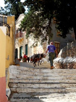 Κάντε κλικ για να δείτε την εικόνα σε πλήρες μέγεθος