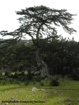 Κάντε κλικ για να δείτε την εικόνα σε πλήρες μέγεθος