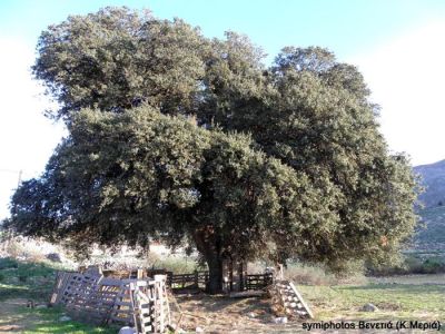 Κάντε κλικ για να δείτε την εικόνα σε πλήρες μέγεθος