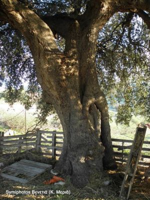 Κάντε κλικ για να δείτε την εικόνα σε πλήρες μέγεθος