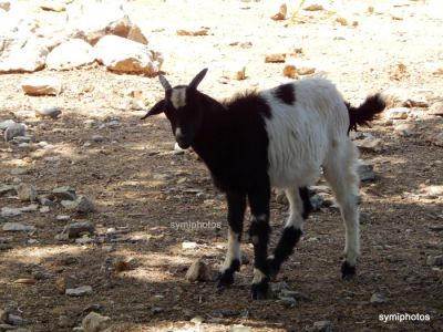 Κάντε κλικ για να δείτε την εικόνα σε πλήρες μέγεθος