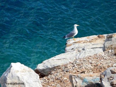 Κάντε κλικ για να δείτε την εικόνα σε πλήρες μέγεθος