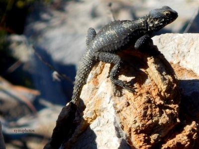 Κάντε κλικ για να δείτε την εικόνα σε πλήρες μέγεθος