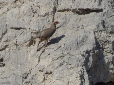 Κάντε κλικ για να δείτε την εικόνα σε πλήρες μέγεθος