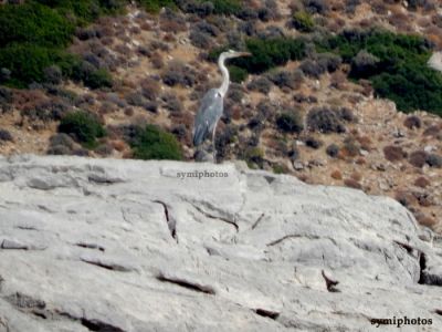 Κάντε κλικ για να δείτε την εικόνα σε πλήρες μέγεθος