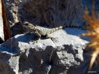 Κάντε κλικ για να δείτε την εικόνα σε πλήρες μέγεθος