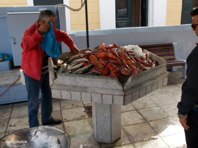 Tam boy resmi görebilmek için tıklayın