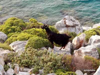 Κάντε κλικ για να δείτε την εικόνα σε πλήρες μέγεθος