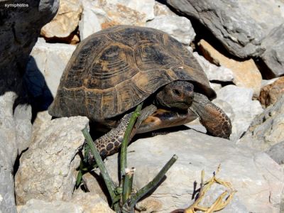 Κάντε κλικ για να δείτε την εικόνα σε πλήρες μέγεθος