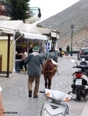 Tam boy resmi görebilmek için tıklayın