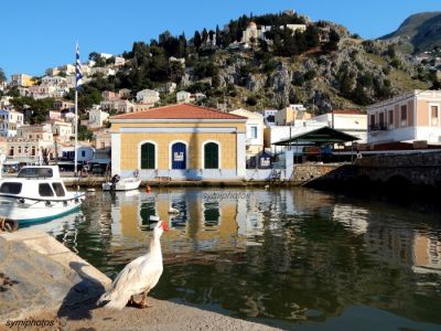 Κάντε κλικ για να δείτε την εικόνα σε πλήρες μέγεθος