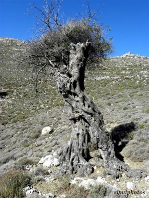 Κάντε κλικ για να δείτε την εικόνα σε πλήρες μέγεθος