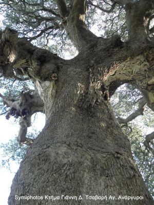 Κάντε κλικ για να δείτε την εικόνα σε πλήρες μέγεθος