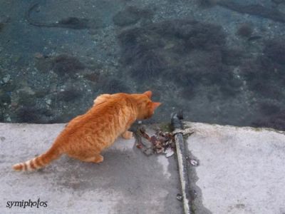 Κάντε κλικ για να δείτε την εικόνα σε πλήρες μέγεθος