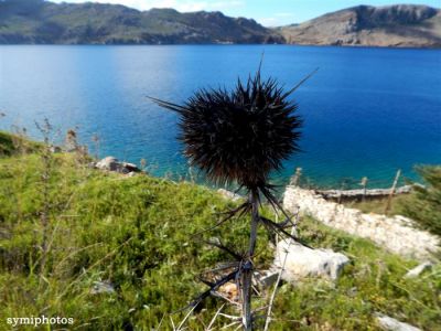 Κάντε κλικ για να δείτε την εικόνα σε πλήρες μέγεθος