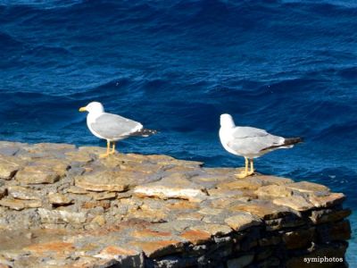 Κάντε κλικ για να δείτε την εικόνα σε πλήρες μέγεθος