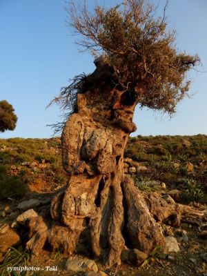 Κάντε κλικ για να δείτε την εικόνα σε πλήρες μέγεθος