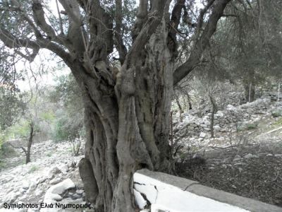 Κάντε κλικ για να δείτε την εικόνα σε πλήρες μέγεθος