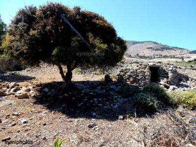 Κάντε κλικ για να δείτε την εικόνα σε πλήρες μέγεθος