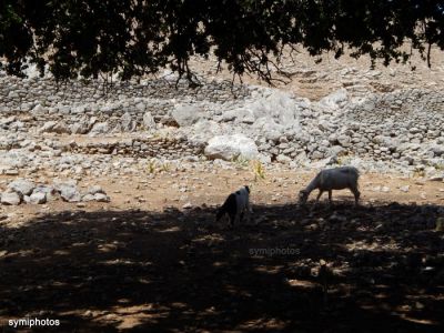 Κάντε κλικ για να δείτε την εικόνα σε πλήρες μέγεθος