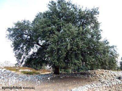 Κάντε κλικ για να δείτε την εικόνα σε πλήρες μέγεθος