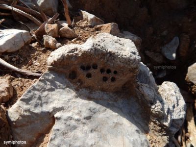 Κάντε κλικ για να δείτε την εικόνα σε πλήρες μέγεθος