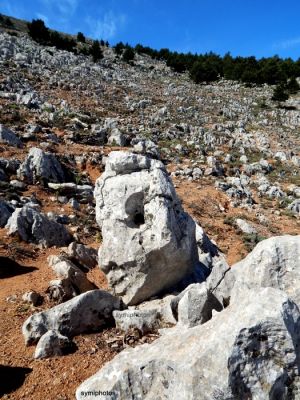 Κάντε κλικ για να δείτε την εικόνα σε πλήρες μέγεθος