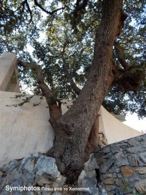 Κάντε κλικ για να δείτε την εικόνα σε πλήρες μέγεθος